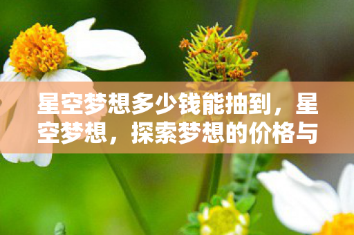 星空梦想多少钱能抽到，星空梦想，探索梦想的价格与价值