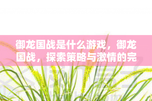 御龙国战是什么游戏，御龙国战，探索策略与激情的完美结合