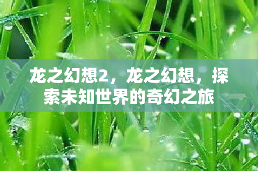 龙之幻想2,龙之幻想,探索未知世界的奇幻之旅 龙之幻想2,龙之幻想,探索未知世界的奇幻之旅