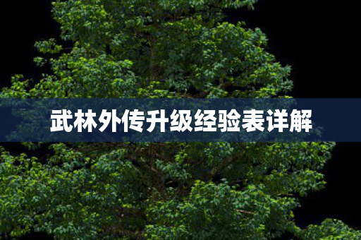 武林外传升级经验表详解 武林外传升级经验表详解