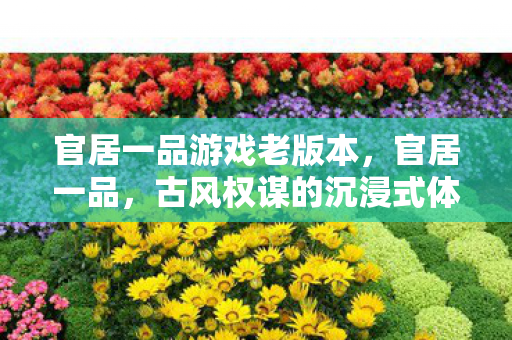 官居一品游戏老版本,官居一品,古风权谋的沉浸式体验 官居一品游戏老版本,官居一品,古风权谋的沉浸式体验
