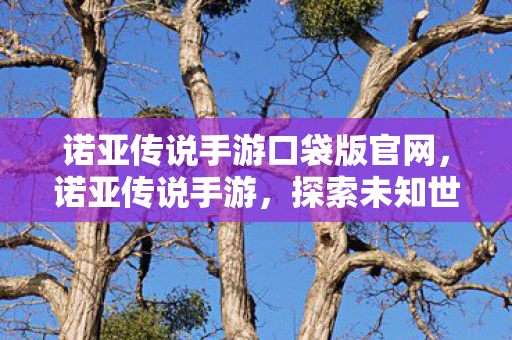 诺亚传说手游口袋版官网,诺亚传说手游,探索未知世界的奇幻之旅 诺亚传说手游口袋版官网,诺亚传说手游,探索未知世界的奇幻之旅