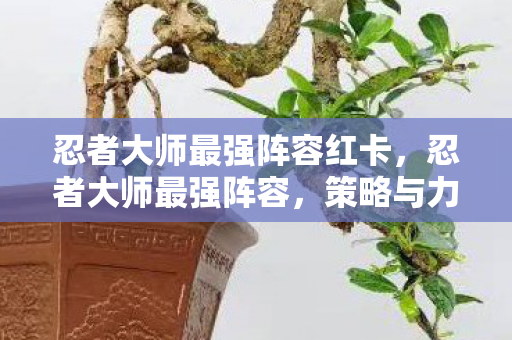 忍者大师最强阵容红卡，忍者大师最强阵容，策略与力量的完美结合
