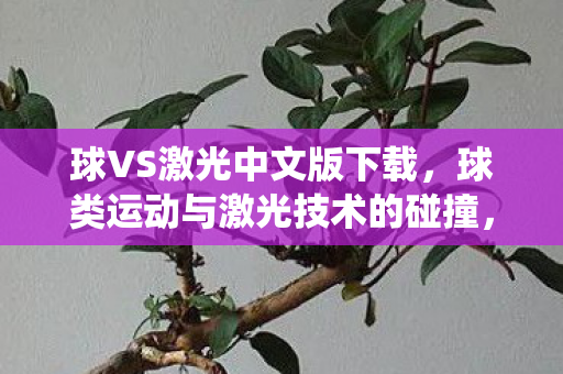 球VS激光中文版下载，球类运动与激光技术的碰撞，一场科技与传统的较量