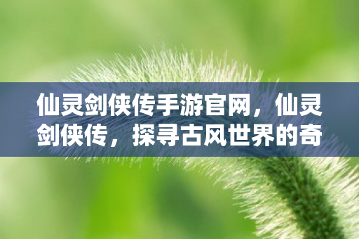 仙灵剑侠传手游官网，仙灵剑侠传，探寻古风世界的奇幻之旅