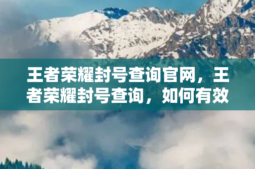 王者荣耀封号查询官网，王者荣耀封号查询，如何有效查询与应对封号问题