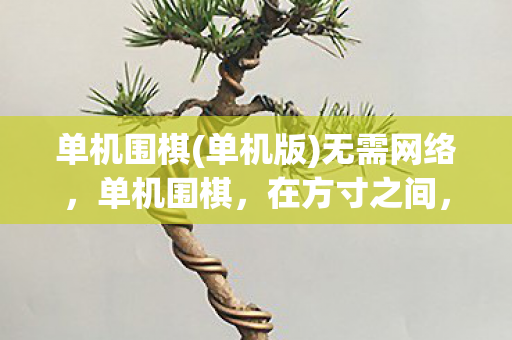单机围棋(单机版)无需网络,单机围棋,在方寸之间,领略智慧与艺术的交融 单机围棋(单机版)无需网络,单机围棋,在方寸之间,领略智慧与艺术的交融