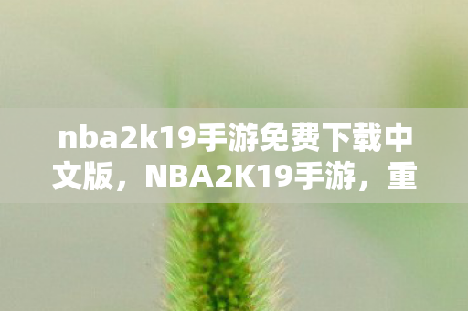 nba2k19手游免费下载中文版,NBA2K19手游,重塑篮球竞技的掌上传奇 nba2k19手游免费下载中文版,NBA2K19手游,重塑篮球竞技的掌上传奇