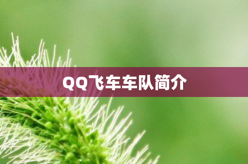 QQ飞车车队简介
