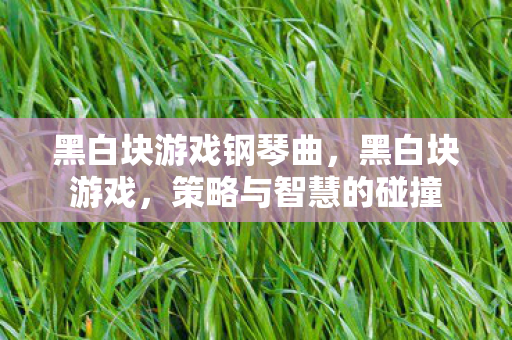 黑白块游戏钢琴曲，黑白块游戏，策略与智慧的碰撞