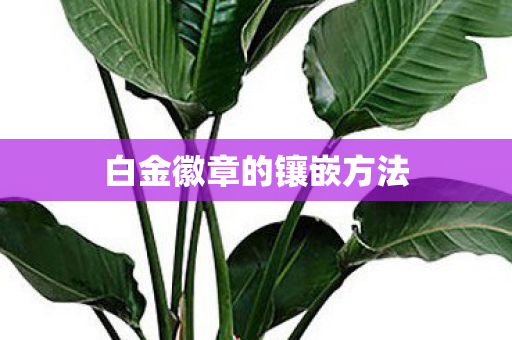 白金徽章的镶嵌方法