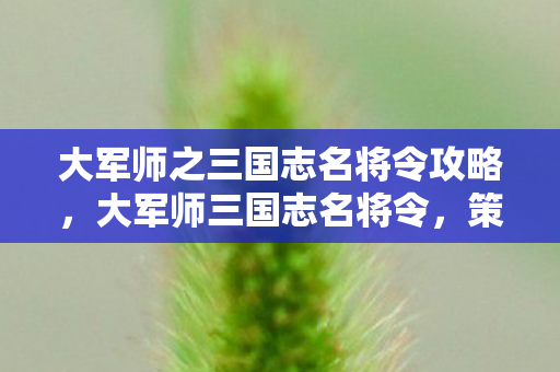 大军师之三国志名将令攻略，大军师三国志名将令，策略与智慧的碰撞
