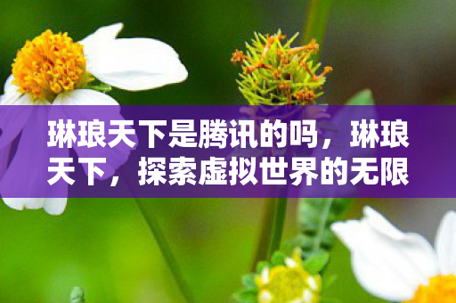 琳琅天下是腾讯的吗，琳琅天下，探索虚拟世界的无限可能