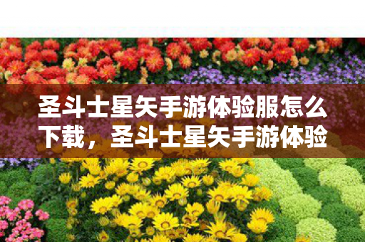 圣斗士星矢手游体验服怎么下载，圣斗士星矢手游体验服，沉浸式战斗体验与策略深度解析