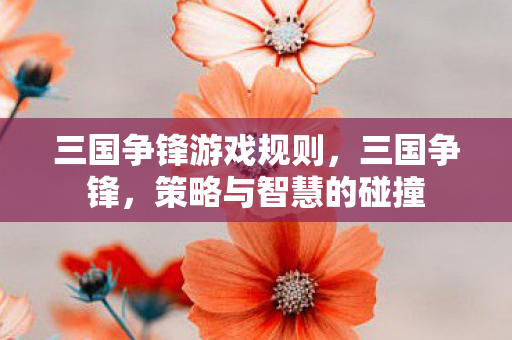 三国争锋游戏规则,三国争锋,策略与智慧的碰撞 三国争锋游戏规则,三国争锋,策略与智慧的碰撞