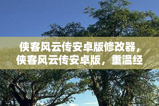 侠客风云传安卓版修改器,侠客风云传安卓版,重温经典武侠,畅享移动江湖 侠客风云传安卓版修改器,侠客风云传安卓版,重温经典武侠,畅享移动江湖