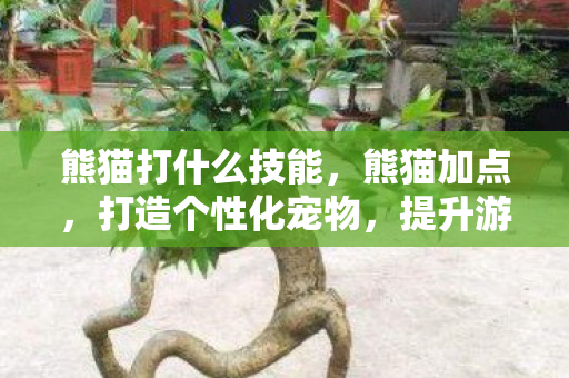 熊猫打什么技能,熊猫加点,打造个性化宠物,提升游戏乐趣 熊猫打什么技能,熊猫加点,打造个性化宠物,提升游戏乐趣