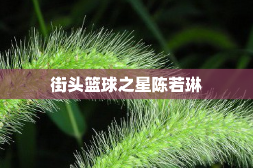 街头篮球之星陈若琳 街头篮球之星陈若琳