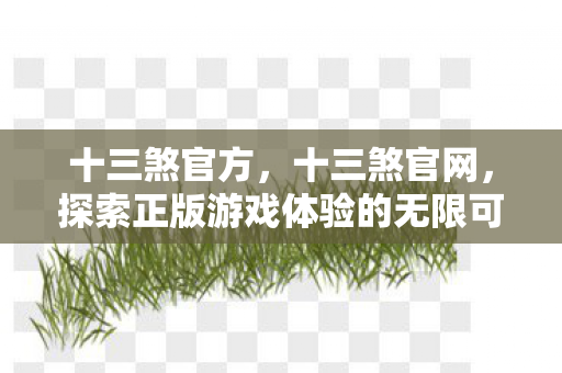 十三煞官方,十三煞官网,探索正版游戏体验的无限可能 十三煞官方,十三煞官网,探索正版游戏体验的无限可能