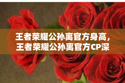 王者荣耀公孙离官方身高,王者荣耀公孙离官方CP深度解析,甜蜜羁绊与英雄搭配 王者荣耀公孙离官方身高,王者荣耀公孙离官方CP深度解析,甜蜜羁绊与英雄搭配