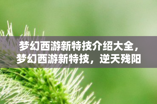 梦幻西游新特技介绍大全,梦幻西游新特技,逆天残阳,重塑战斗格局 梦幻西游新特技介绍大全,梦幻西游新特技,逆天残阳,重塑战斗格局