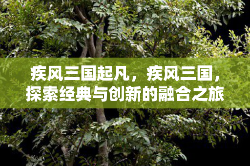 疾风三国起凡,疾风三国,探索经典与创新的融合之旅 疾风三国起凡,疾风三国,探索经典与创新的融合之旅