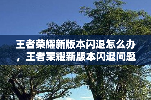 王者荣耀新版本闪退怎么办，王者荣耀新版本闪退问题解析