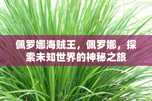 佩罗娜海贼王，佩罗娜，探索未知世界的神秘之旅