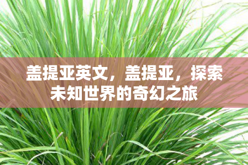 盖提亚英文，盖提亚，探索未知世界的奇幻之旅