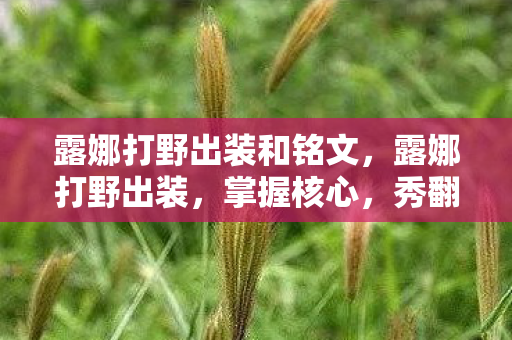 露娜打野出装和铭文，露娜打野出装，掌握核心，秀翻全场