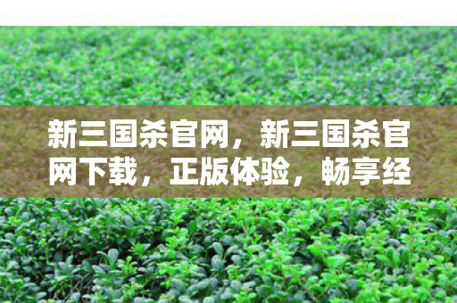 新三国杀官网，新三国杀官网下载，正版体验，畅享经典桌游