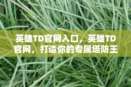 英雄TD官网入口，英雄TD官网，打造你的专属塔防王国