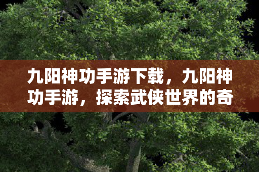 九阳神功手游下载,九阳神功手游,探索武侠世界的奇妙之旅 九阳神功手游下载,九阳神功手游,探索武侠世界的奇妙之旅