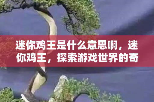 迷你鸡王是什么意思啊，迷你鸡王，探索游戏世界的奇妙之旅