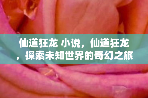 仙道狂龙 小说,仙道狂龙,探索未知世界的奇幻之旅 仙道狂龙 小说,仙道狂龙,探索未知世界的奇幻之旅
