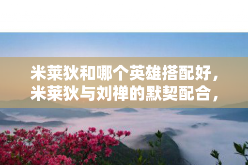 米莱狄和哪个英雄搭配好,米莱狄与刘禅的默契配合,高效推进的王者组合 米莱狄和哪个英雄搭配好,米莱狄与刘禅的默契配合,高效推进的王者组合