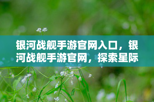 银河战舰手游官网入口,银河战舰手游官网,探索星际,决战宇宙的奇幻之旅 银河战舰手游官网入口,银河战舰手游官网,探索星际,决战宇宙的奇幻之旅