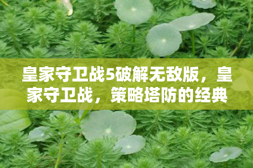 皇家守卫战5破解无敌版，皇家守卫战，策略塔防的经典之作