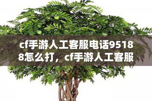 cf手游人工客服电话95188怎么打，cf手游人工客服电话，高效解决你的游戏问题