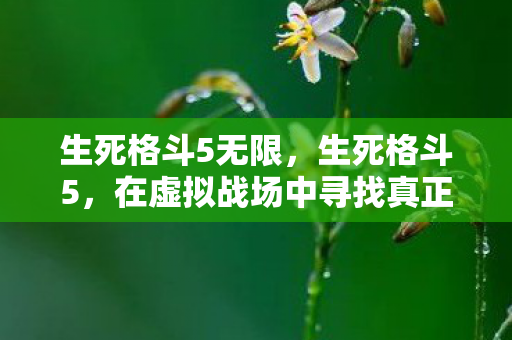 生死格斗5无限,生死格斗5,在虚拟战场中寻找真正的自我 生死格斗5无限,生死格斗5,在虚拟战场中寻找真正的自我