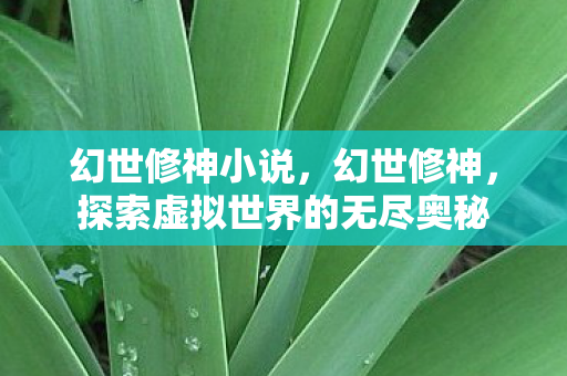 幻世修神小说，幻世修神，探索虚拟世界的无尽奥秘