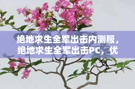 绝地求生全军出击内测服,绝地求生全军出击PC,优化设置与战术分析 绝地求生全军出击内测服,绝地求生全军出击PC,优化设置与战术分析