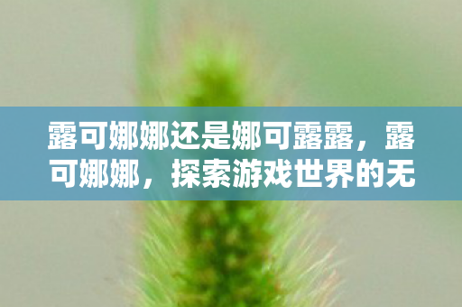 露可娜娜还是娜可露露，露可娜娜，探索游戏世界的无限可能