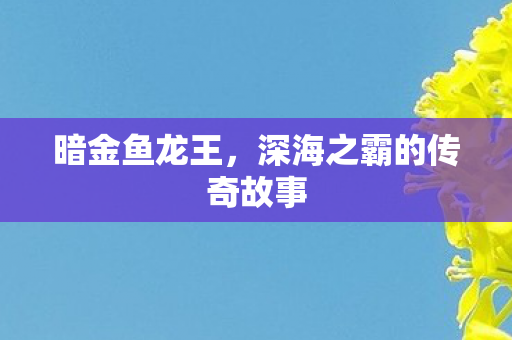 暗金鱼龙王，深海之霸的传奇故事