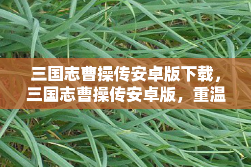 三国志曹操传安卓版下载，三国志曹操传安卓版，重温经典，策略与冒险的完美结合