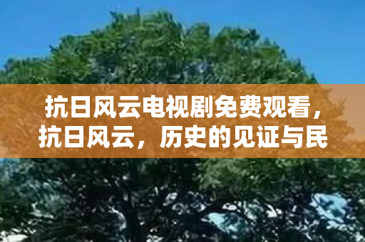抗日风云电视剧免费观看，抗日风云，历史的见证与民族的觉醒