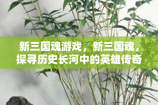 新三国魂游戏,新三国魂,探寻历史长河中的英雄传奇 新三国魂游戏,新三国魂,探寻历史长河中的英雄传奇