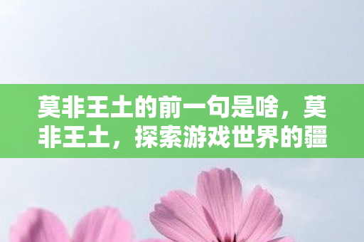 莫非王土的前一句是啥，莫非王土，探索游戏世界的疆域与规则