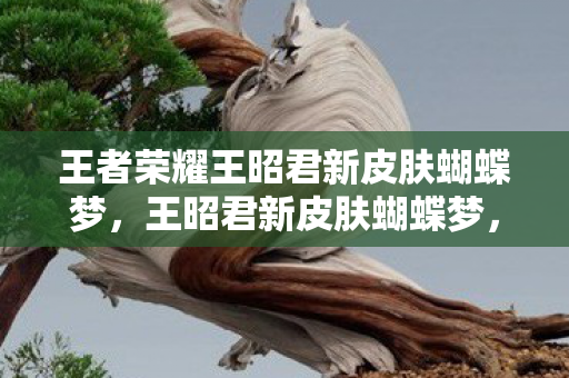 王者荣耀王昭君新皮肤蝴蝶梦，王昭君新皮肤蝴蝶梦，梦幻与现实的交织