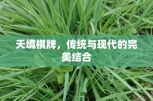 天境棋牌，传统与现代的完美结合